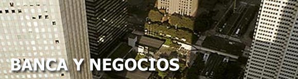 Banca y Negocios