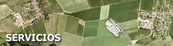 Servicios